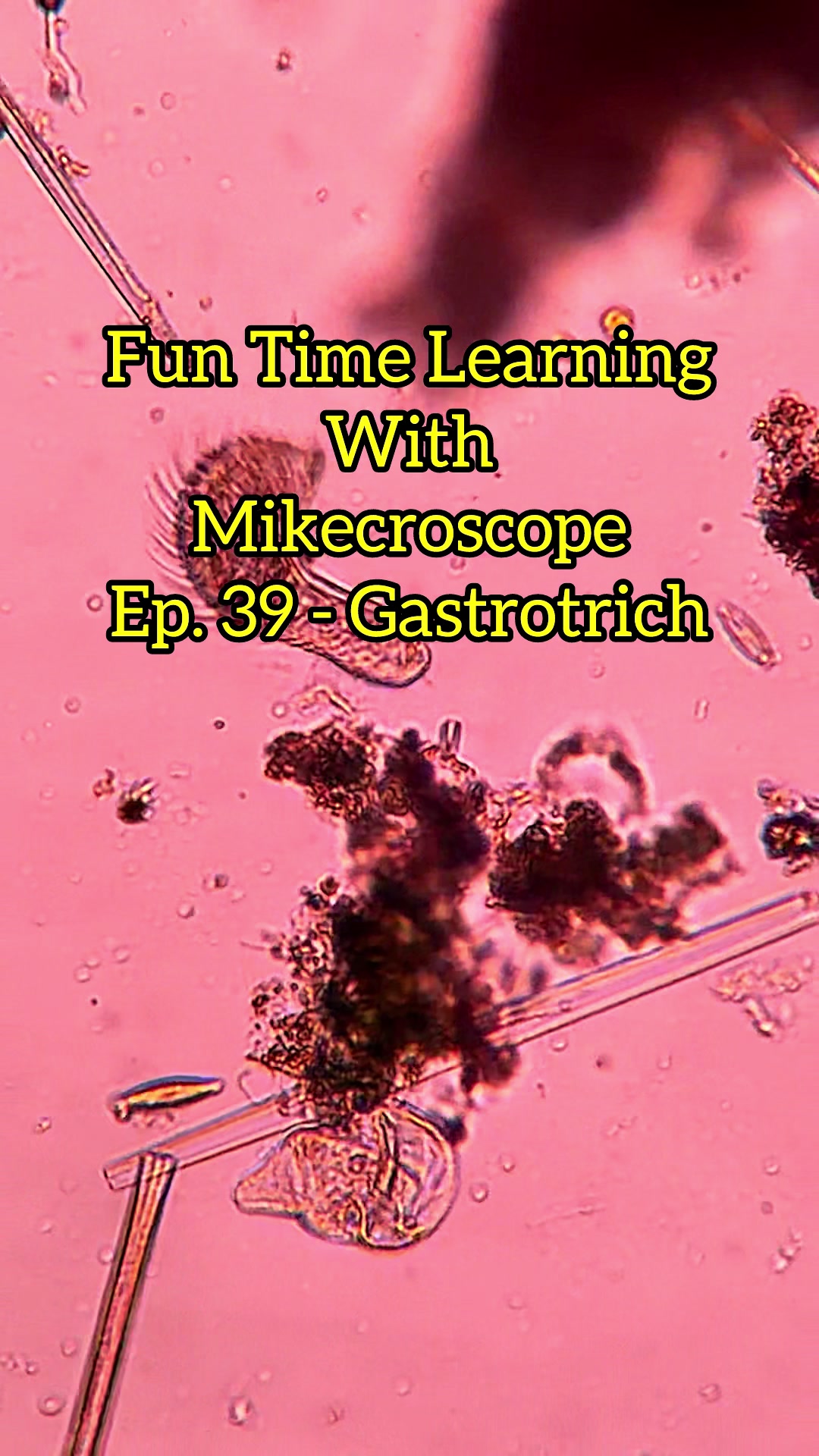 @Mikecroscope