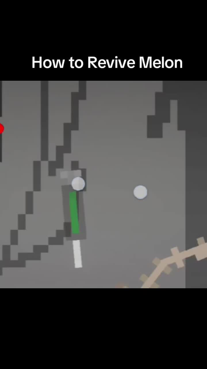 @melonsandbox