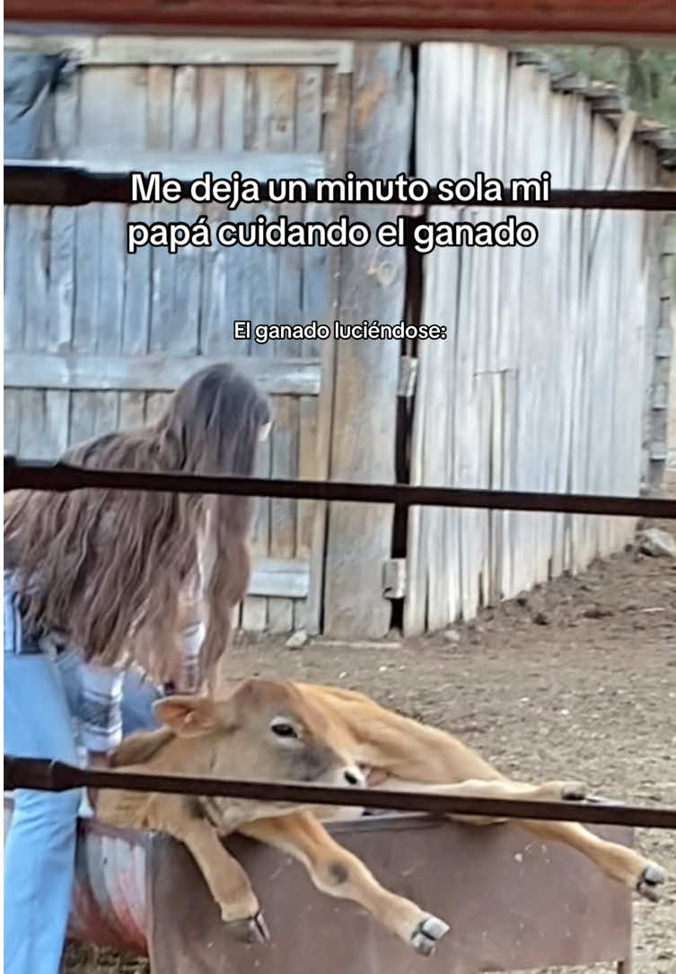 @𝐍𝐢𝐜𝐨𝐥𝐥𝐌𝐞𝐥𝐞𝐧𝐝𝐫𝐞𝐳