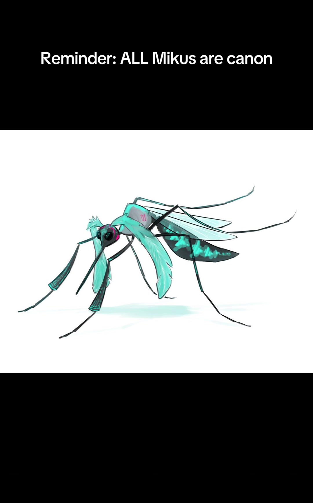 @⊹ ࣪ ˖击̸ 𝙷𝚊𝚖𝚙𝚎𝚛 击̸⊹ ࣪ ˖