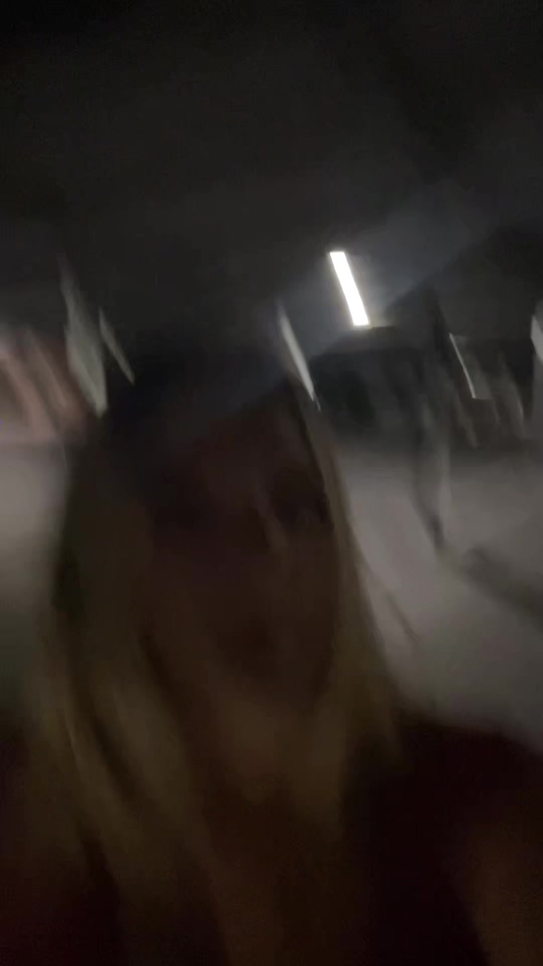 @stella
