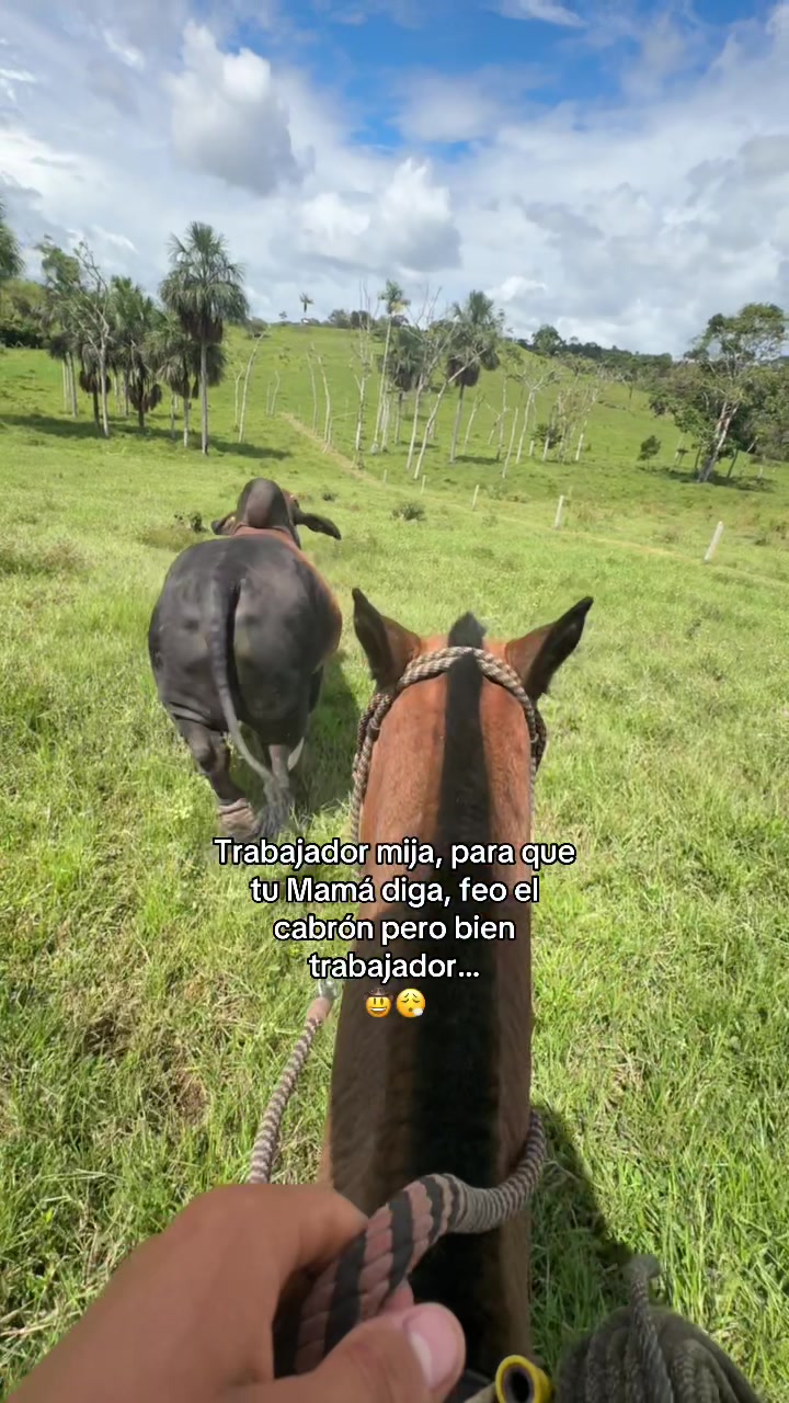 @Didier_🤠