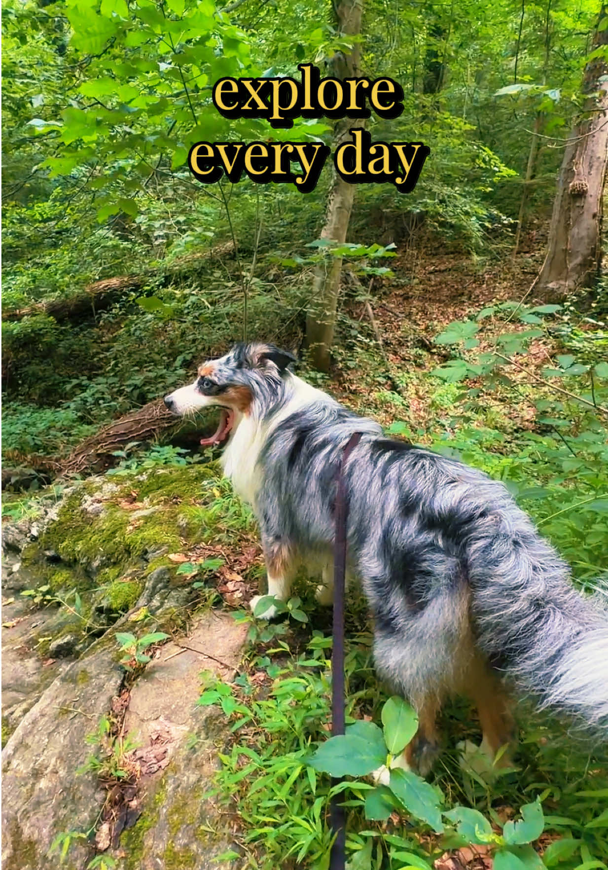 @Chris Strider &ensp;    `        ༽