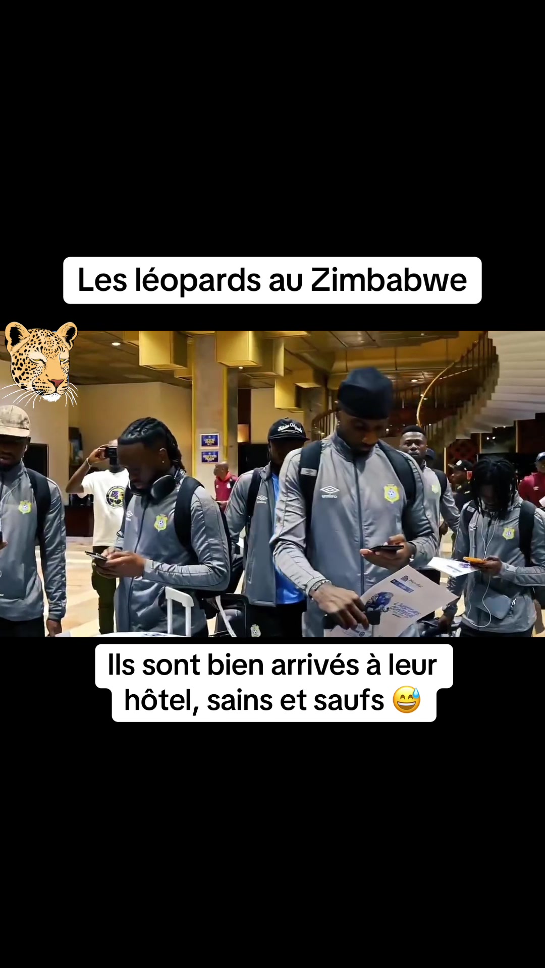 @congolese_dna