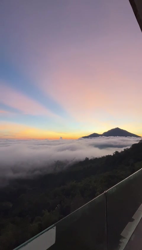 @Amora Kintamani
