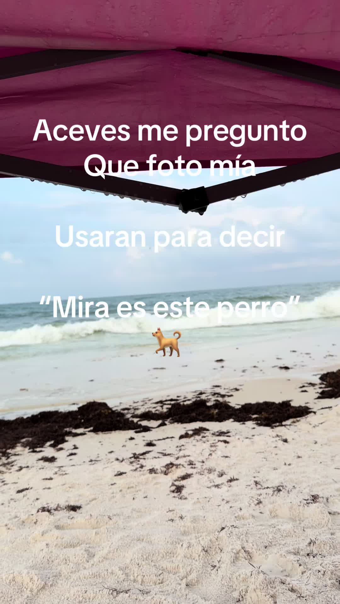 @juanchocorrol