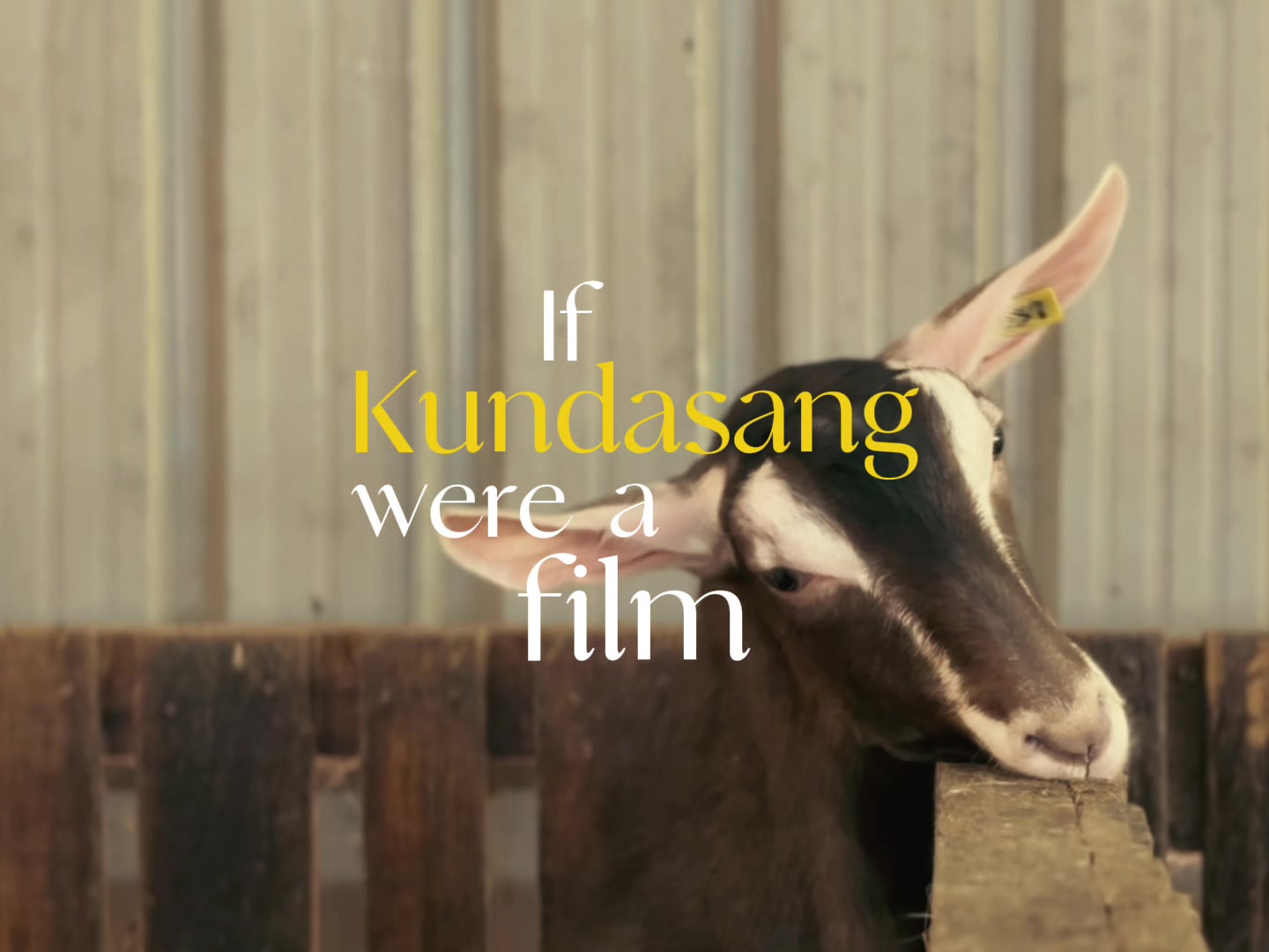 @shuewennfilms