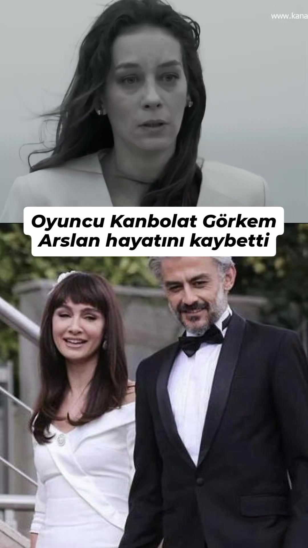 @alynars