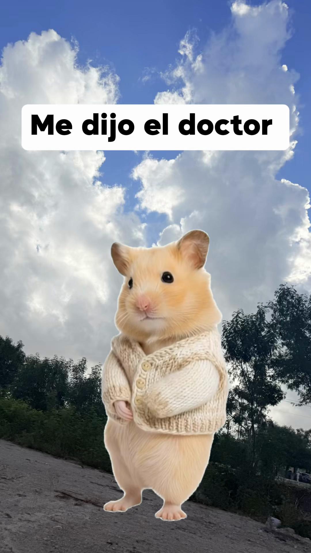 @Sol