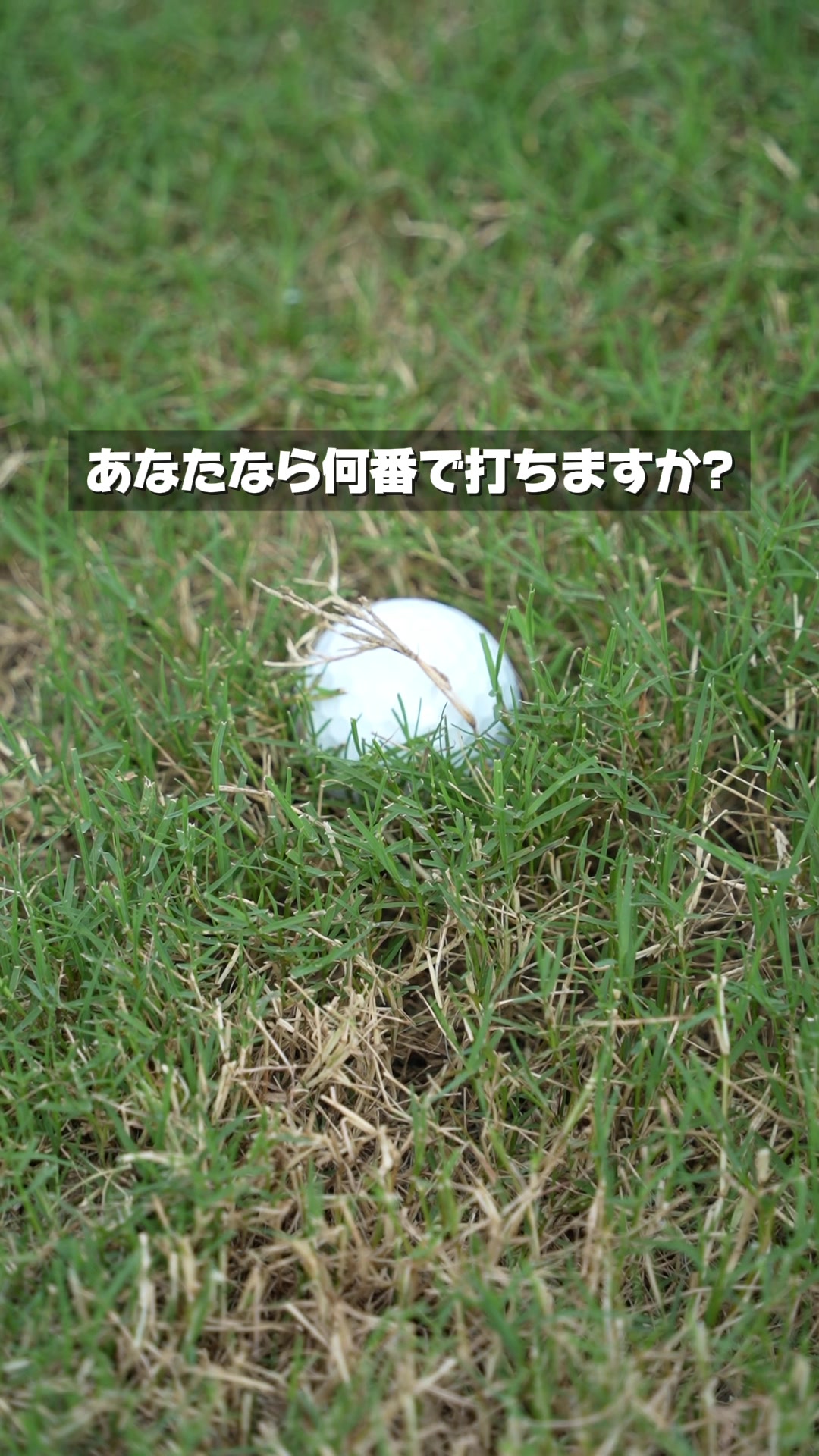 @ゴルフフリークス