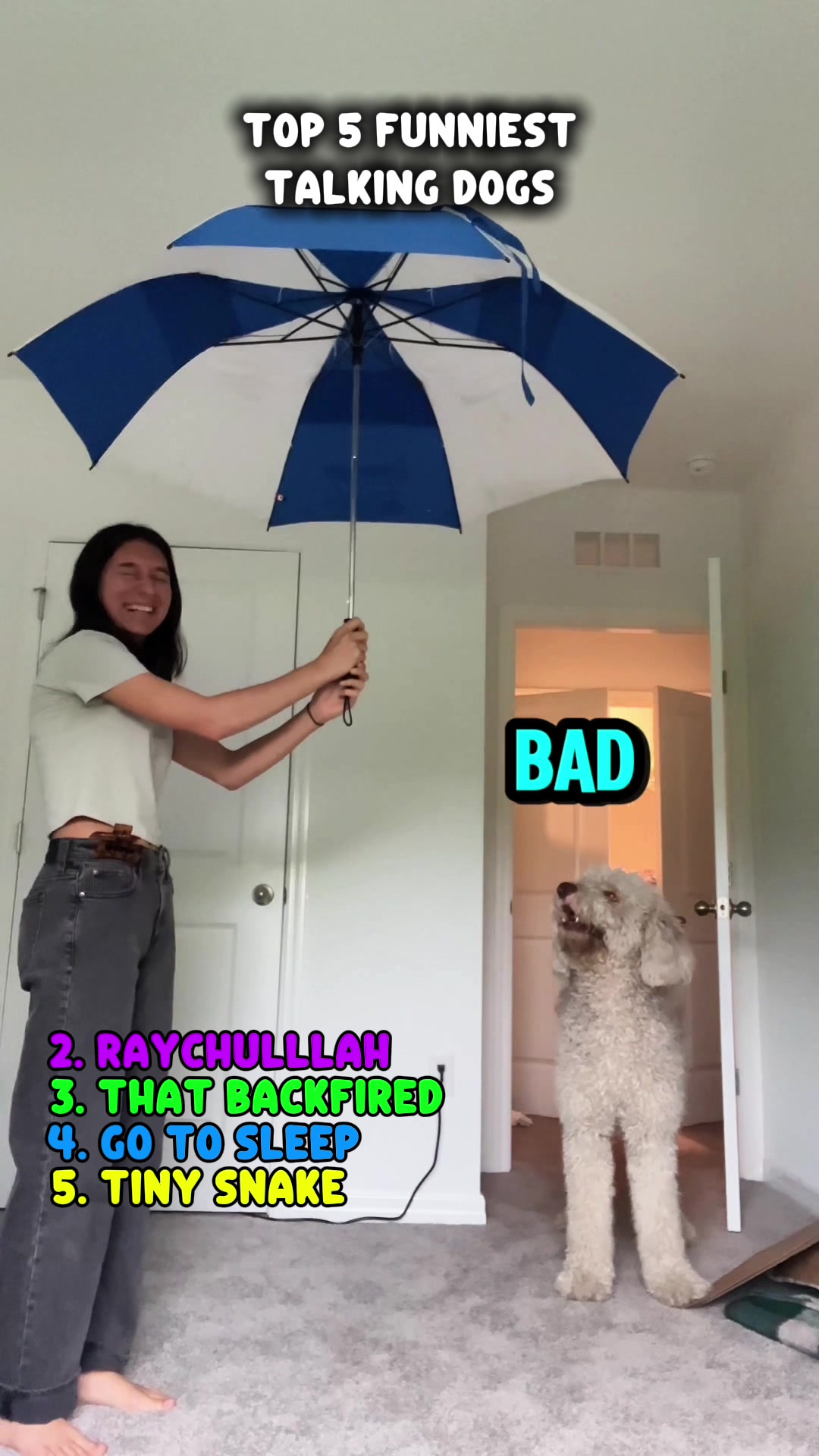 @Rufus Goodboy