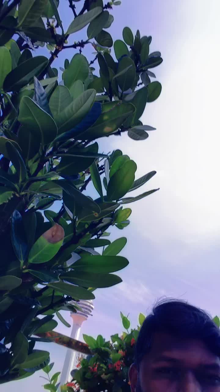 @【。_。】 🌚🌝🅼🅾🅶🅰🅽 🐯🌎【。_。】