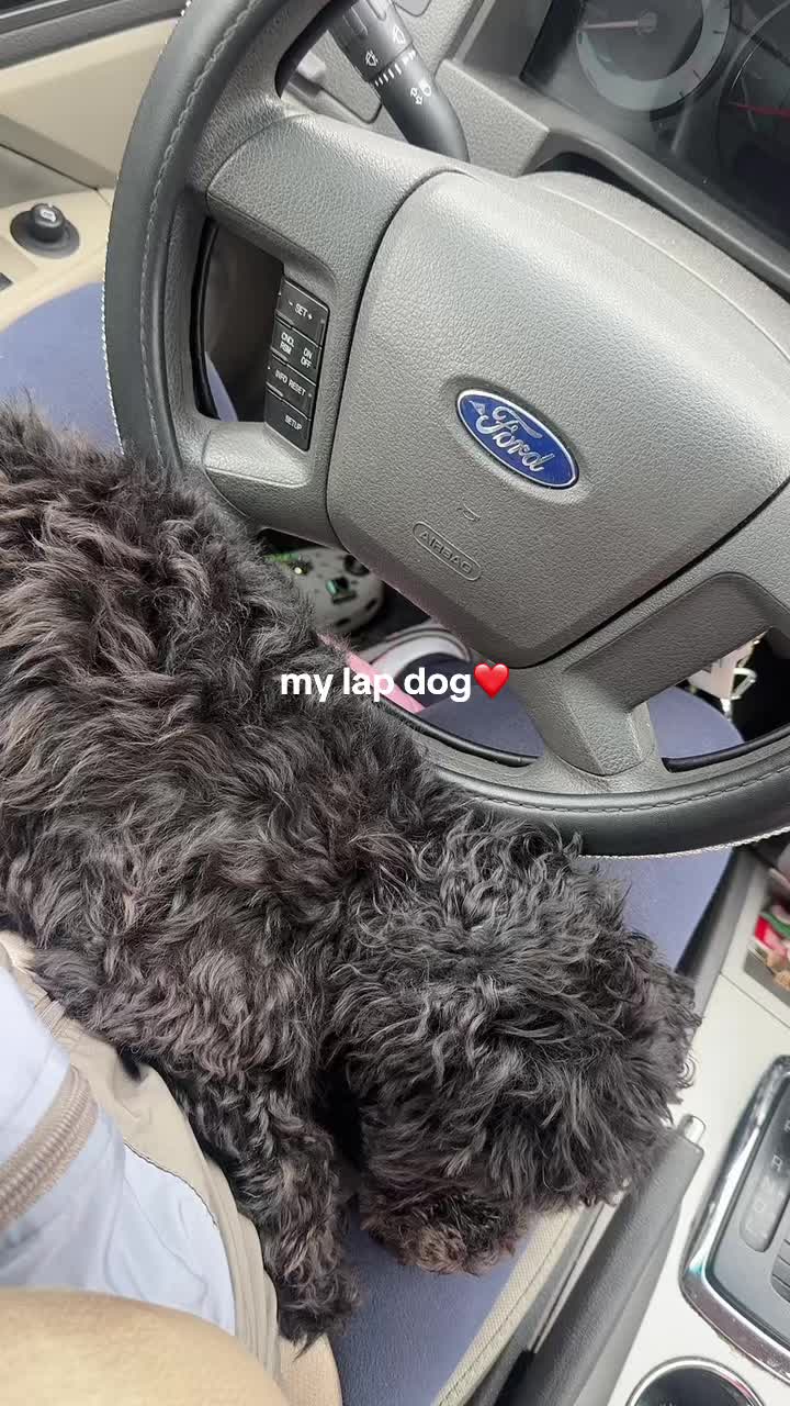 @chycustoms