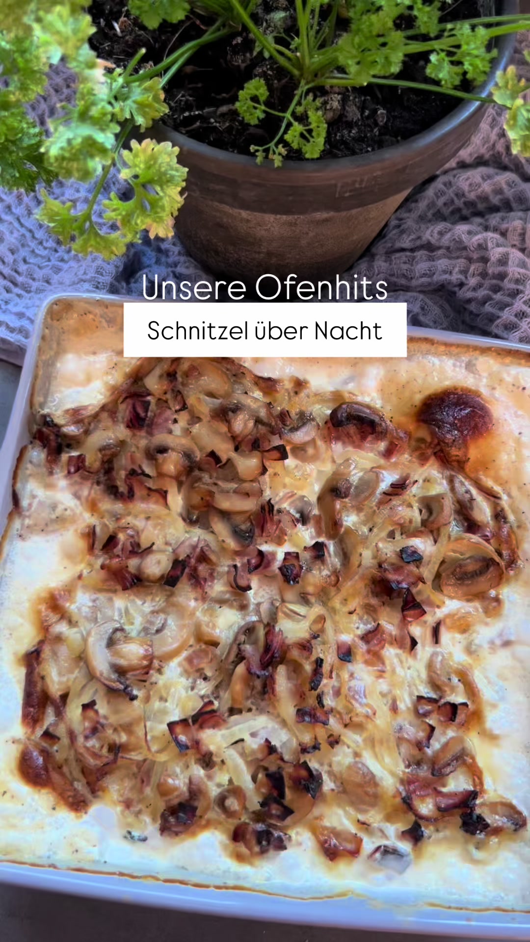 @Kochmitliebe_