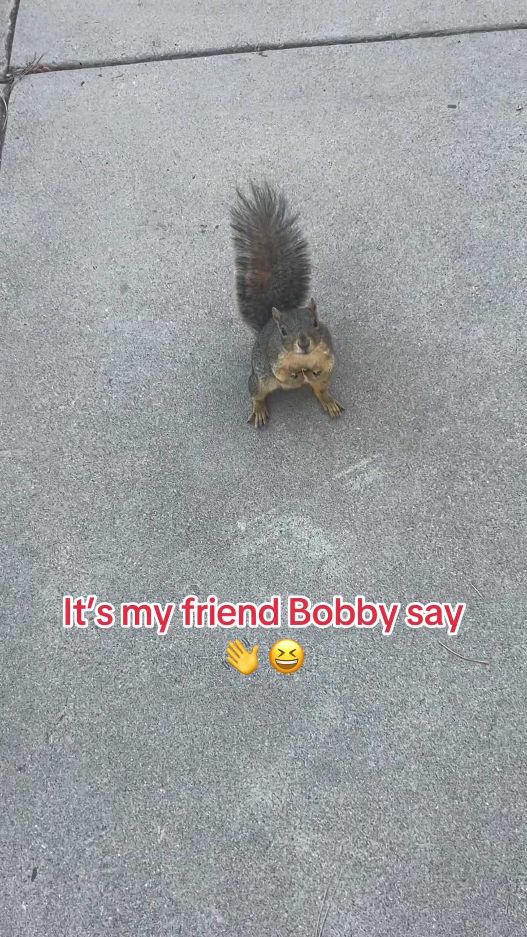 @bl0odmo0n40