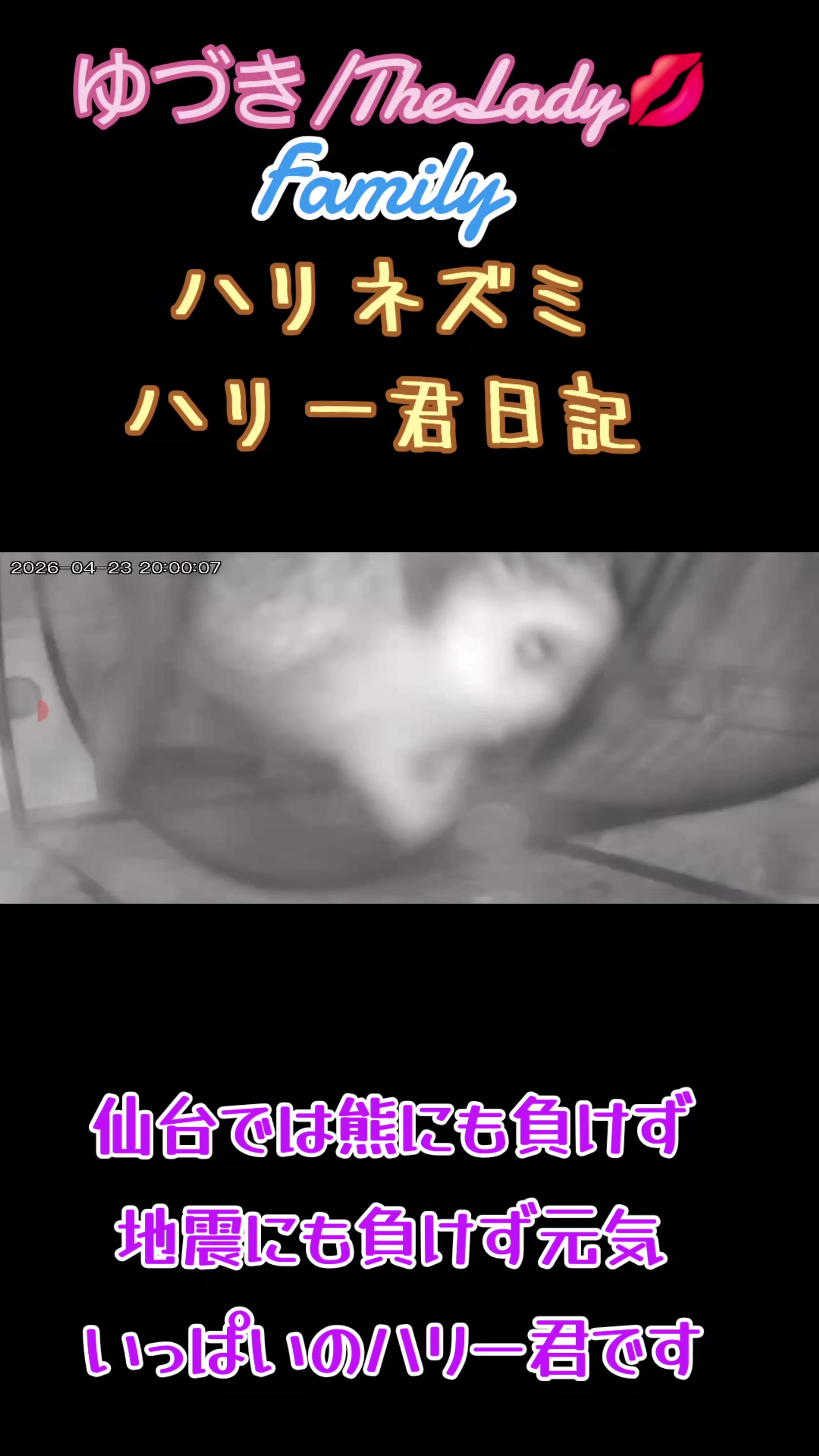 @🐼🌙草真💋🐼
