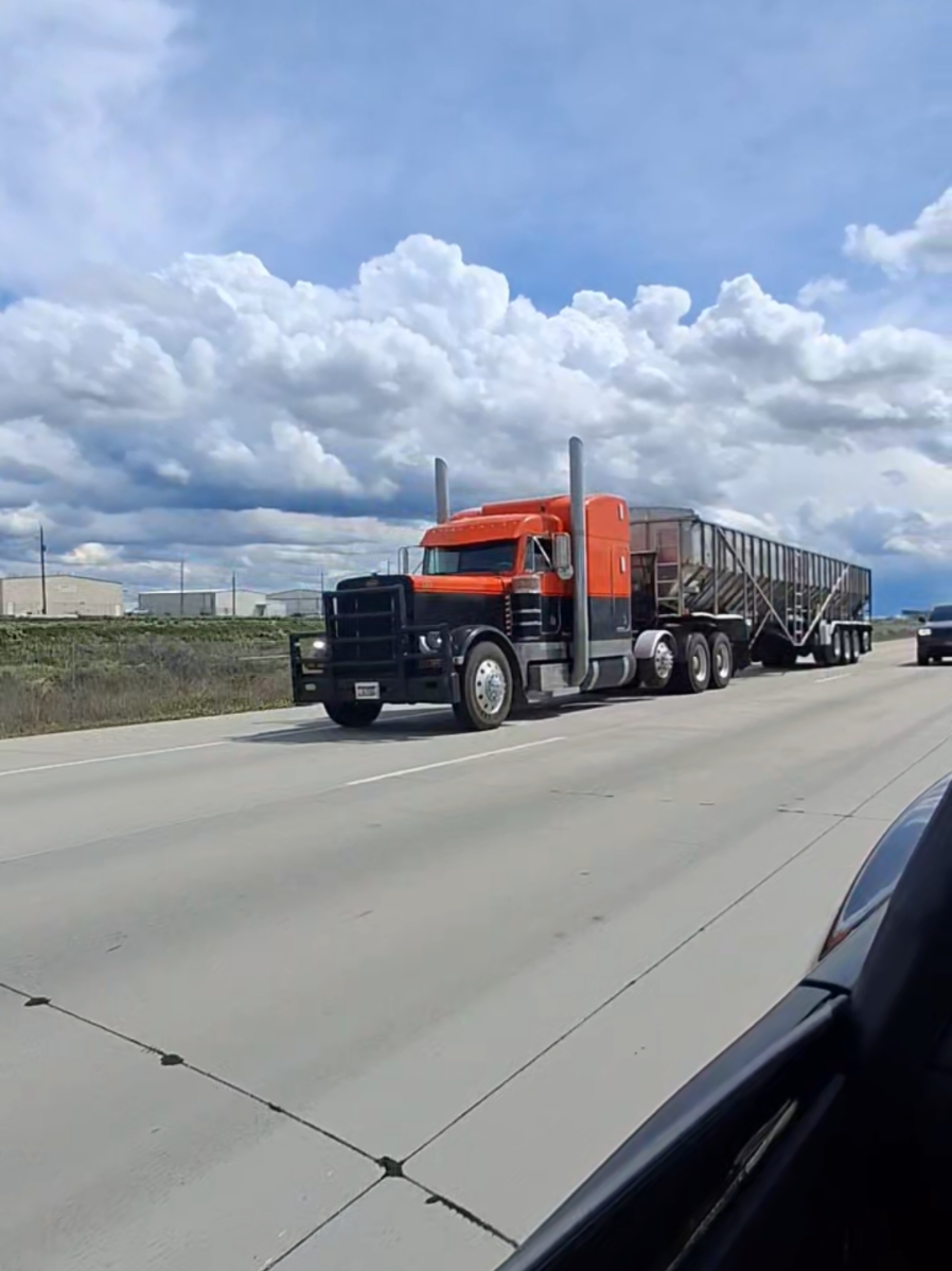 @TruckingFluffy5.0