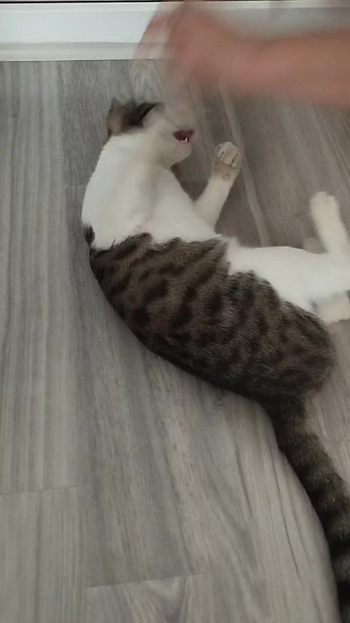 @miniş