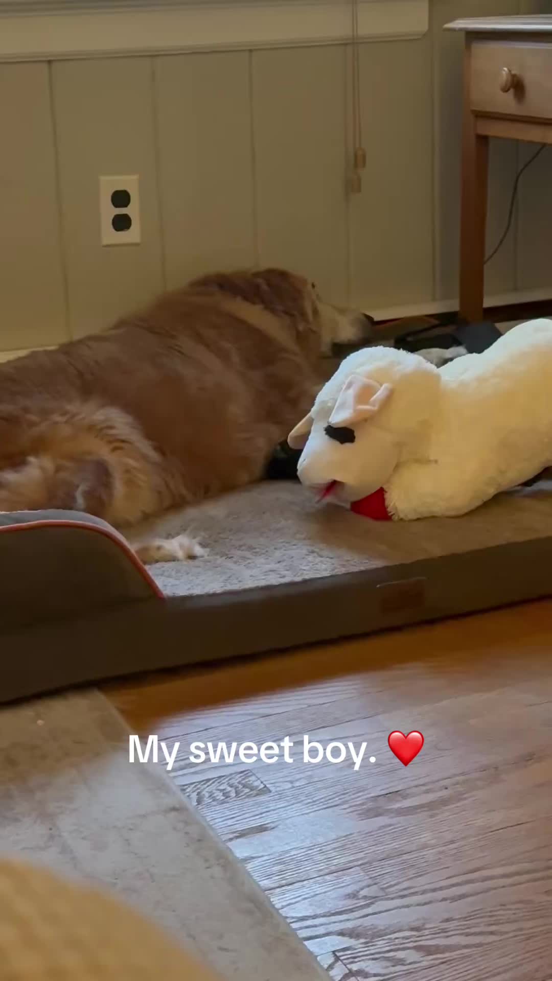 @lifewithduke2025
