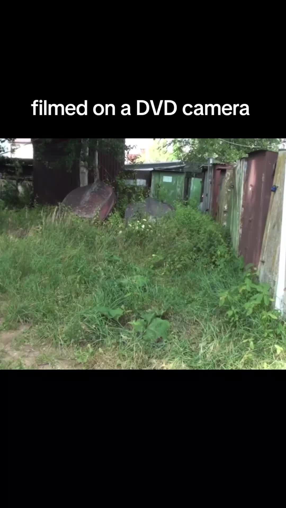 @Туманная поляна