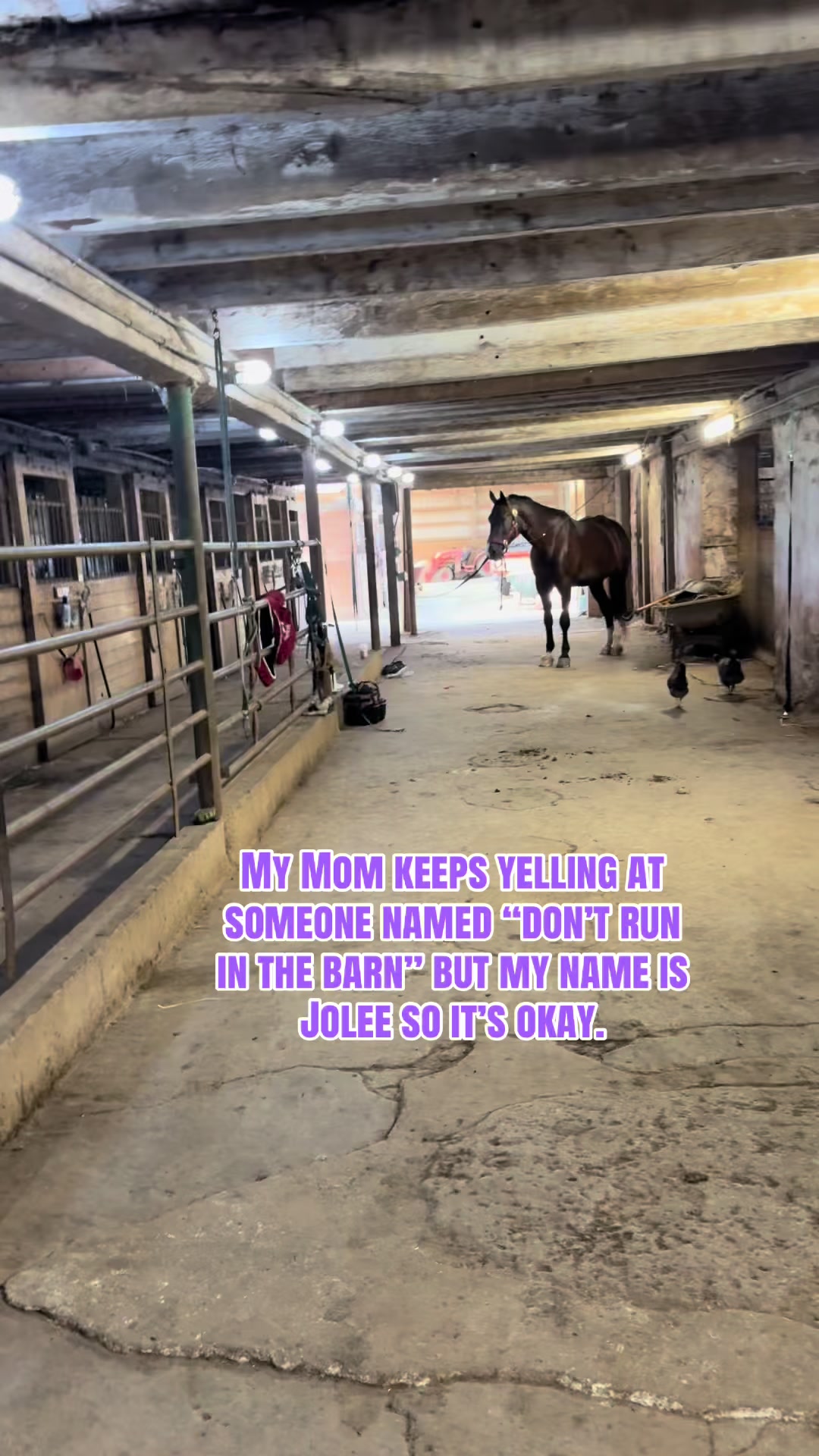 @Equestrian |🦄 Mom