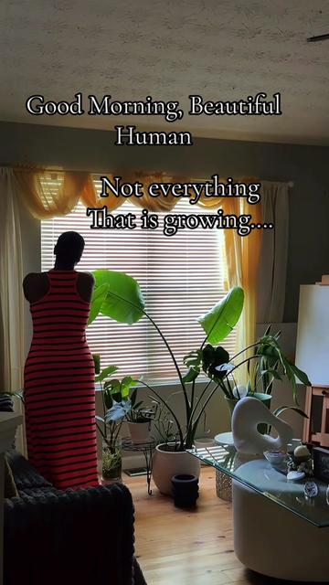 @Baldbeauty39