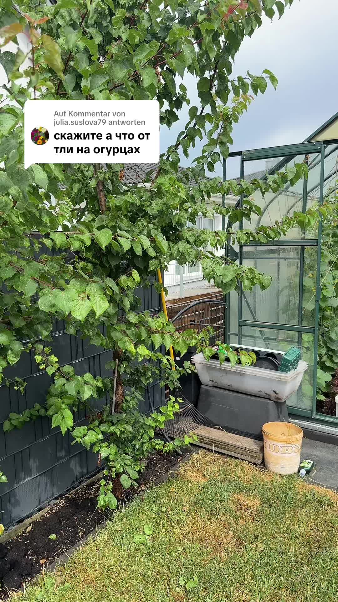 @Lanya Aliens 43J 🥰
