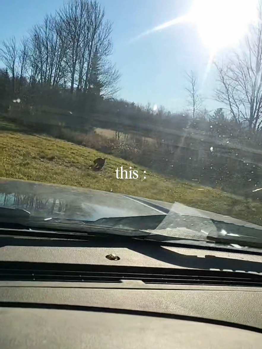 @Wisconsin Trapper