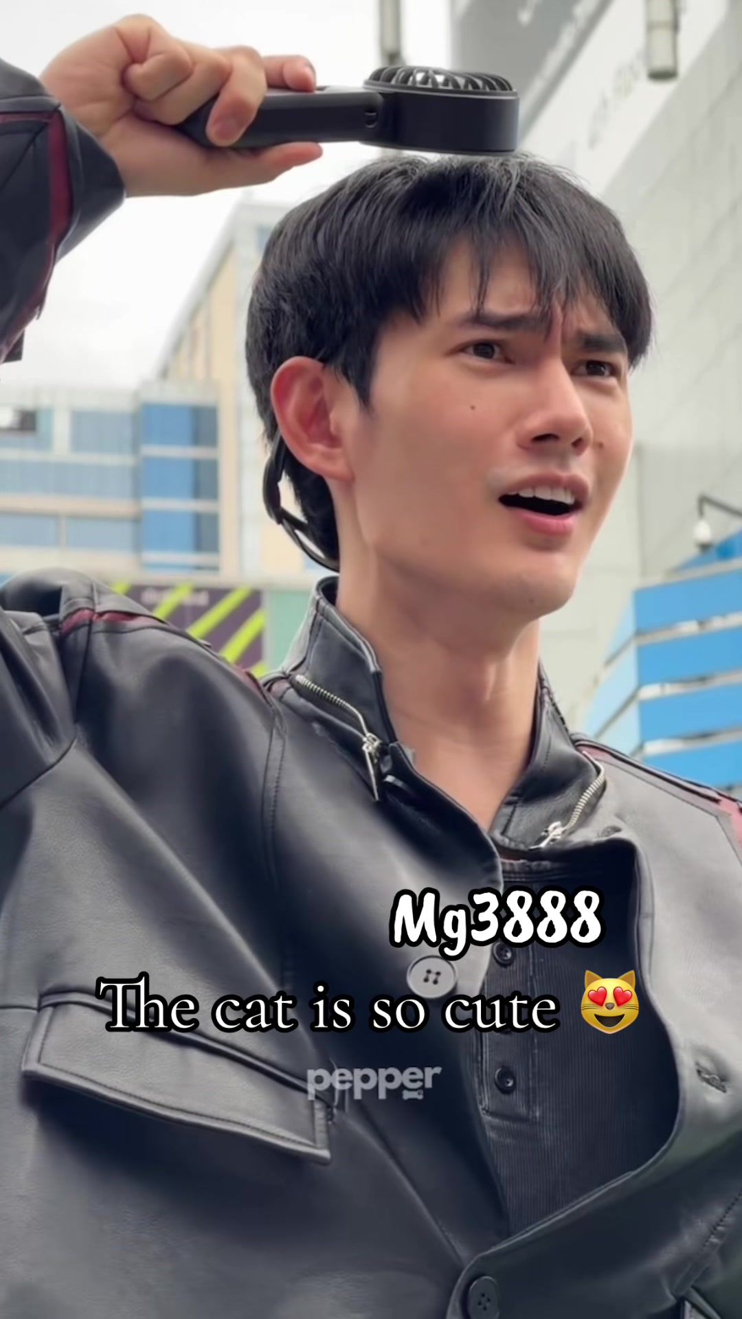@Melissa 🐶🐈⬛🥦