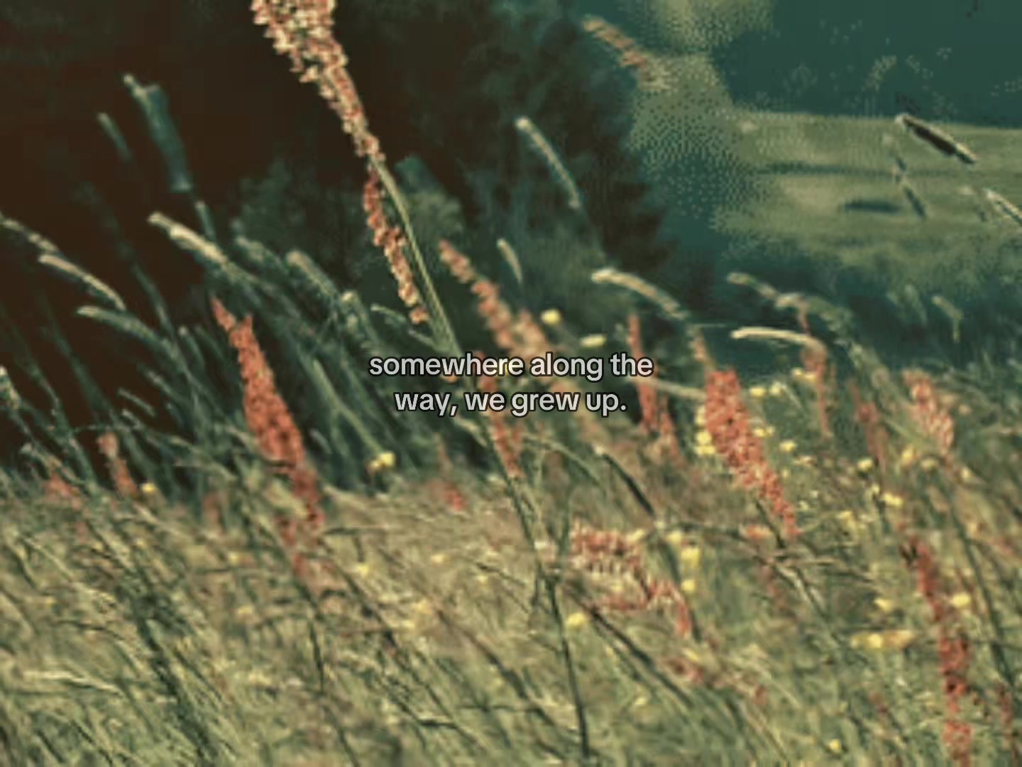 @love2film