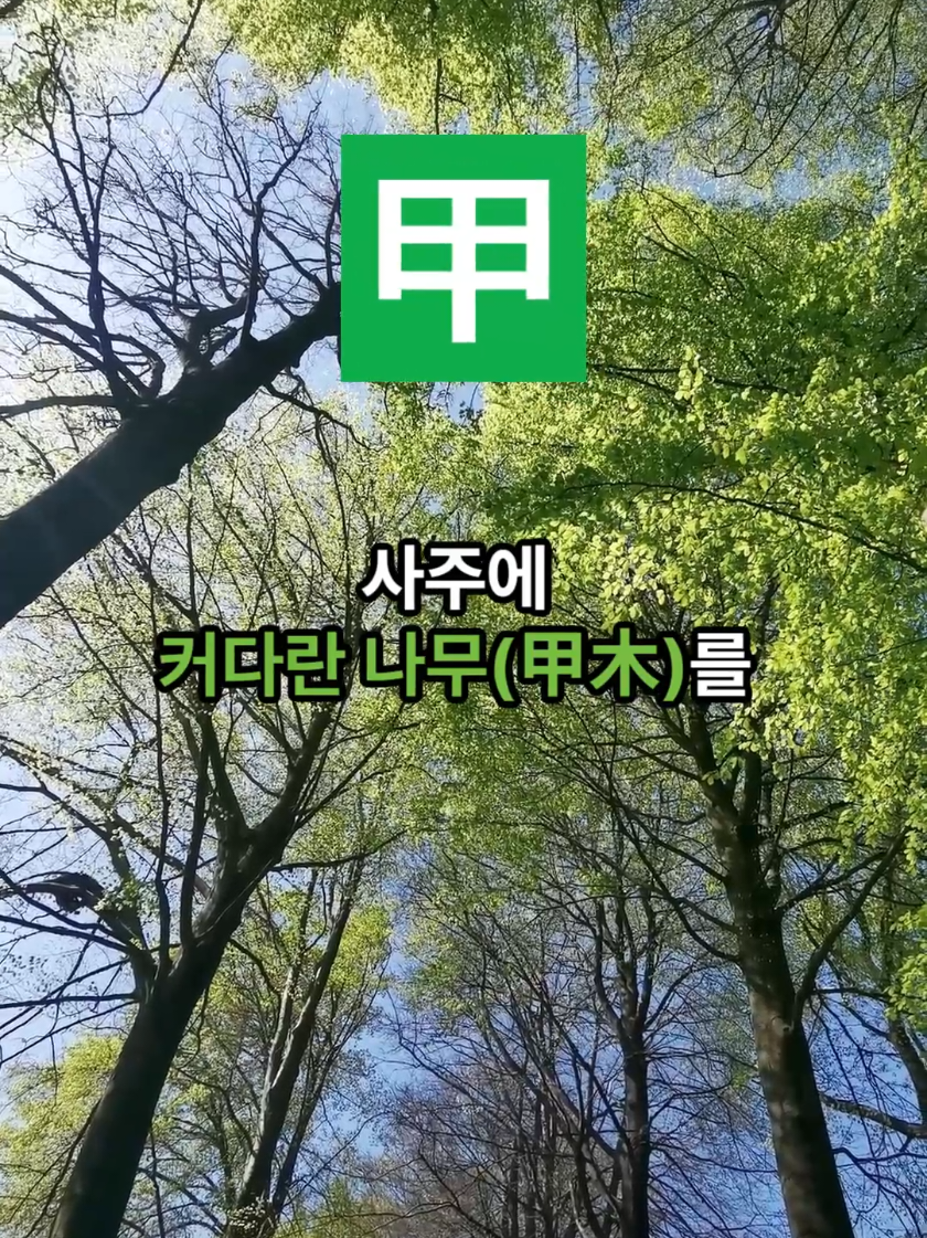 @천문서재