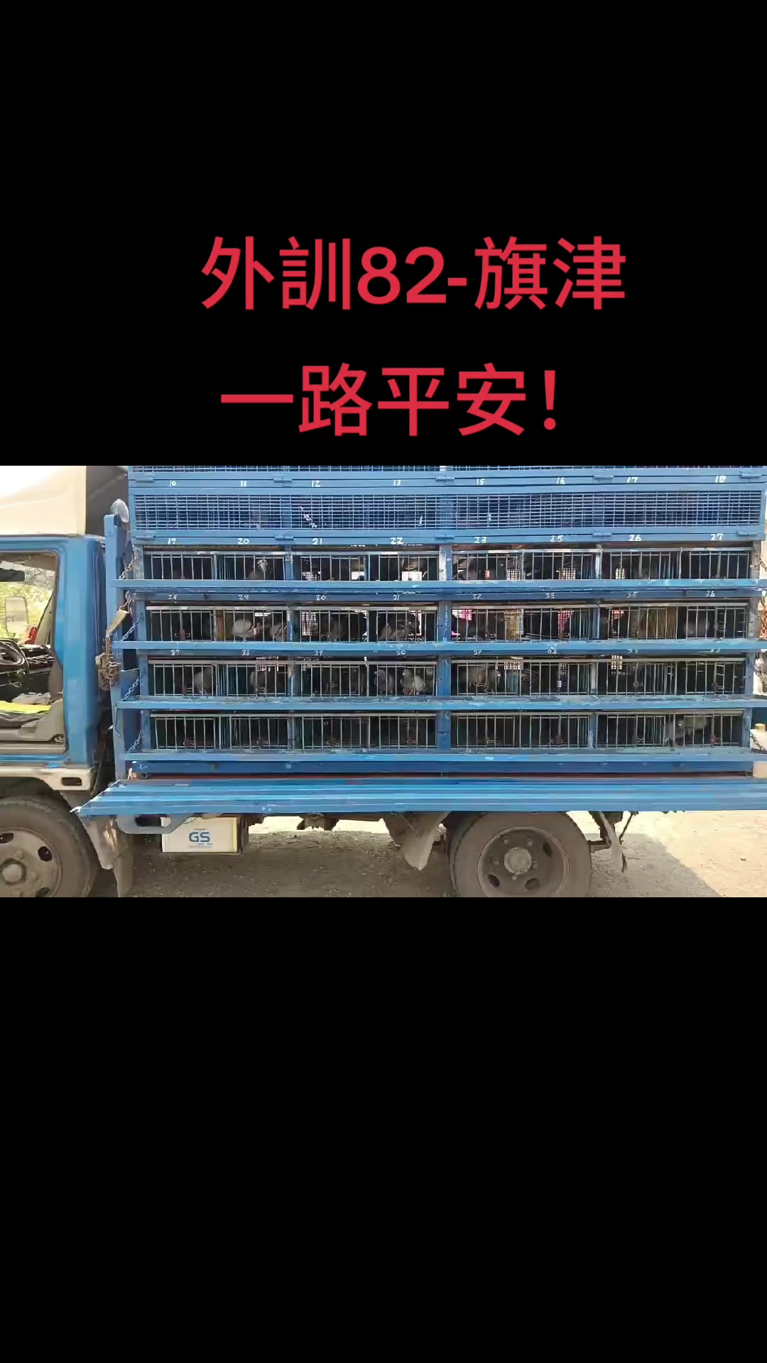 @Team S&Dwin