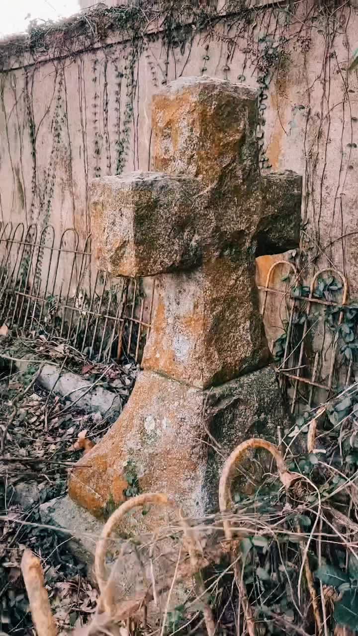 @♱𝓣𝓱𝓮𝓥𝓸𝓲𝓭♱