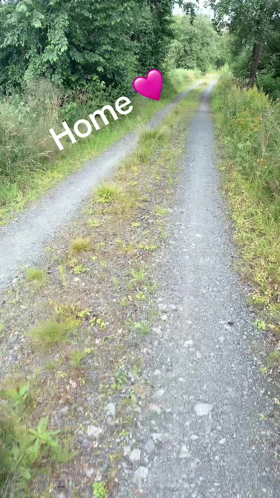 @HafiHorse2
