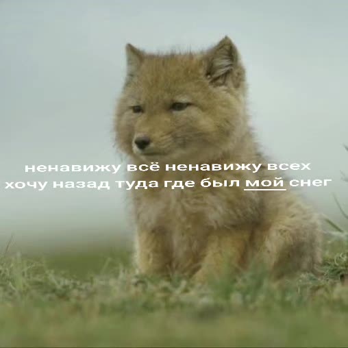 @1619