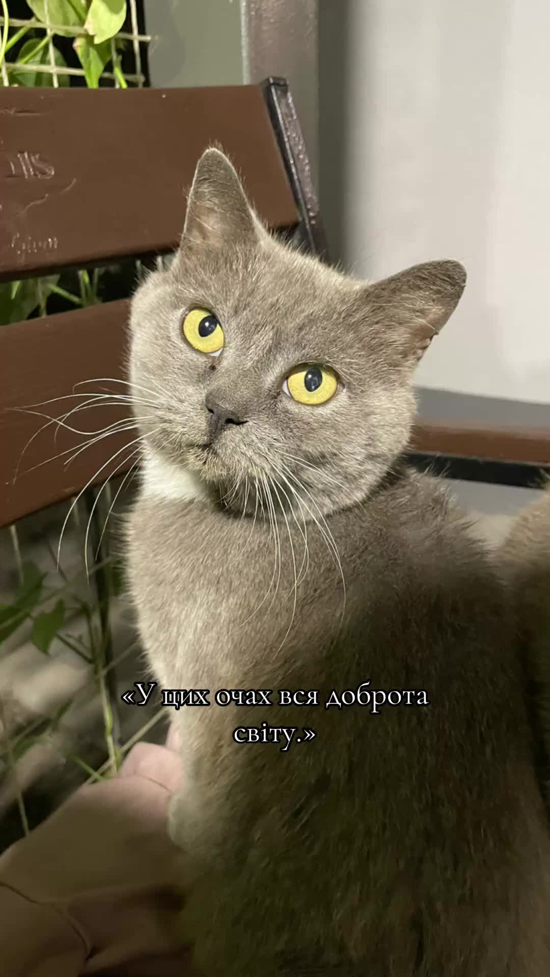 @22:22