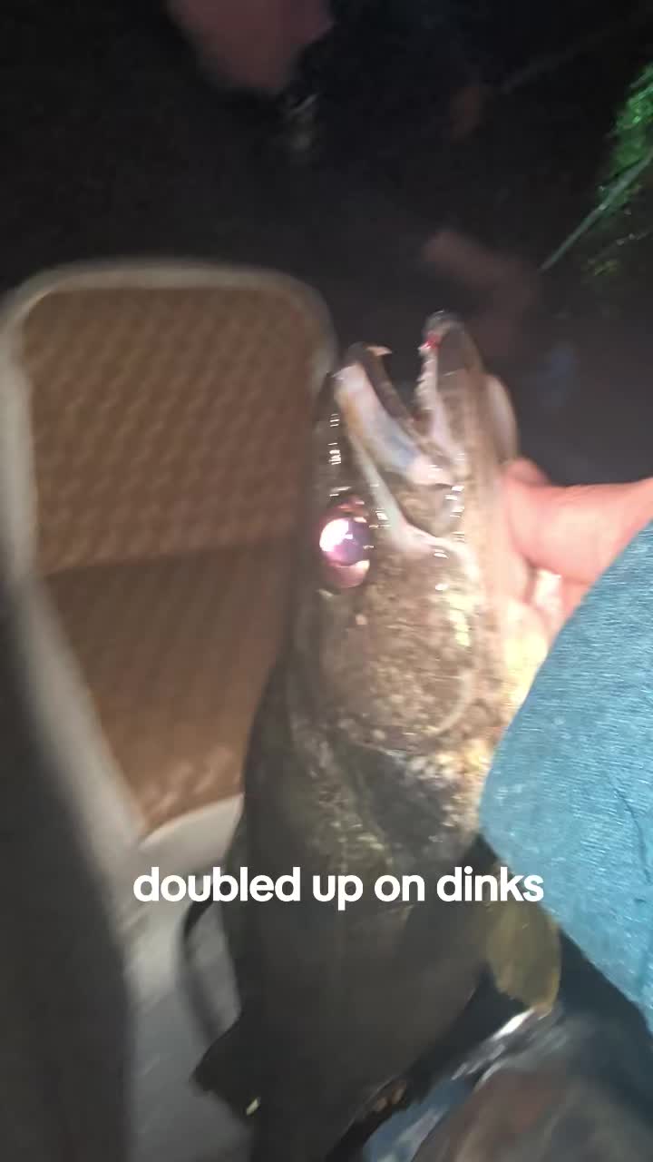 @BABSBIGZ827