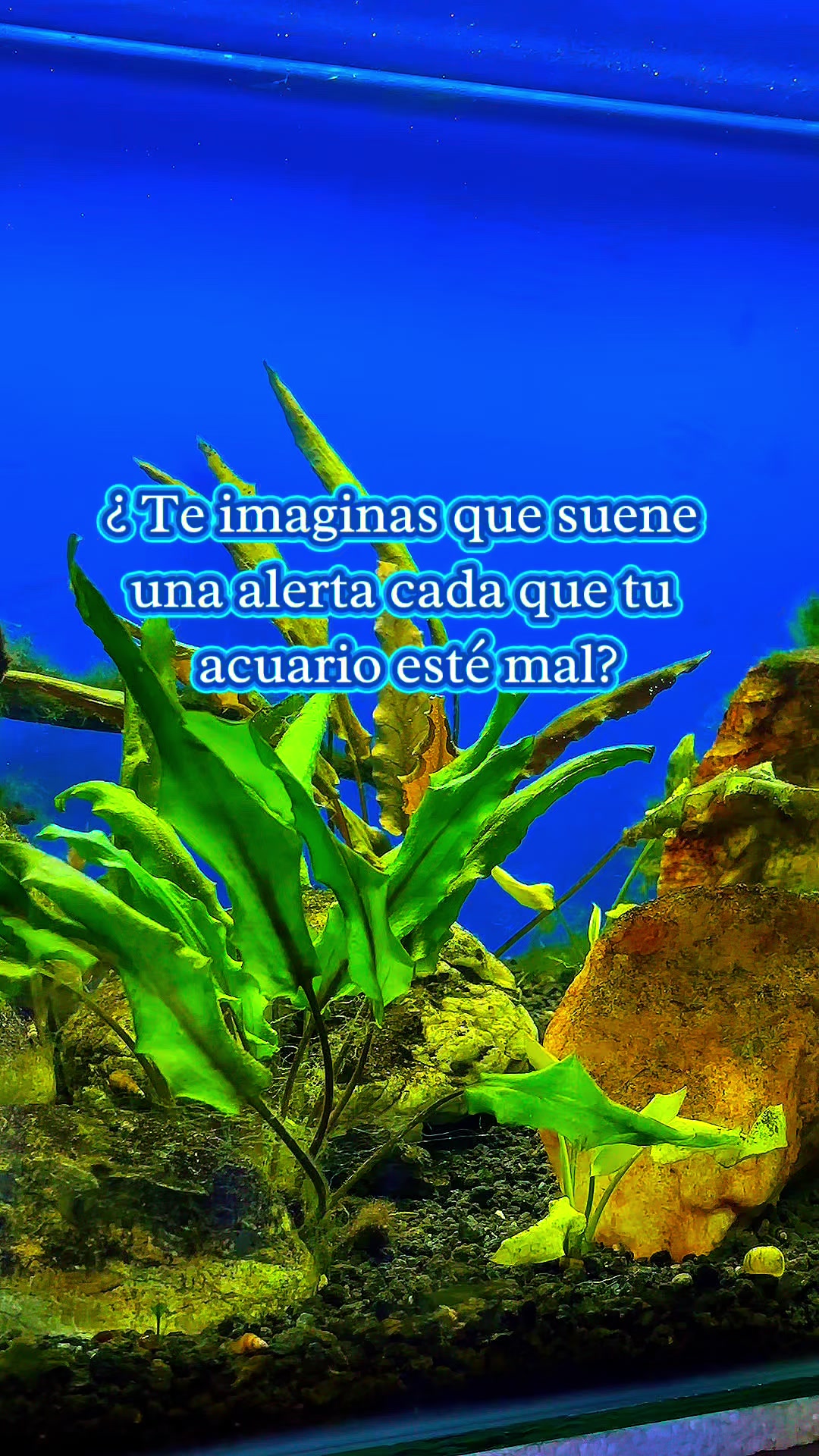 @Acuario Fish Lovers