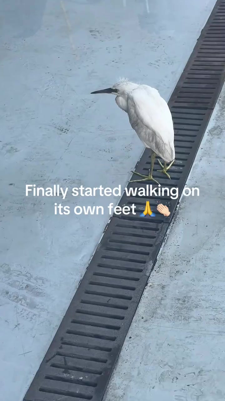 @Miggz1050