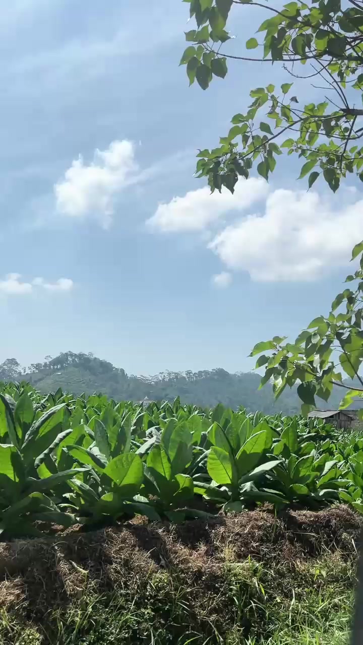 @𝓞 𝓚 𝓣 𝓐