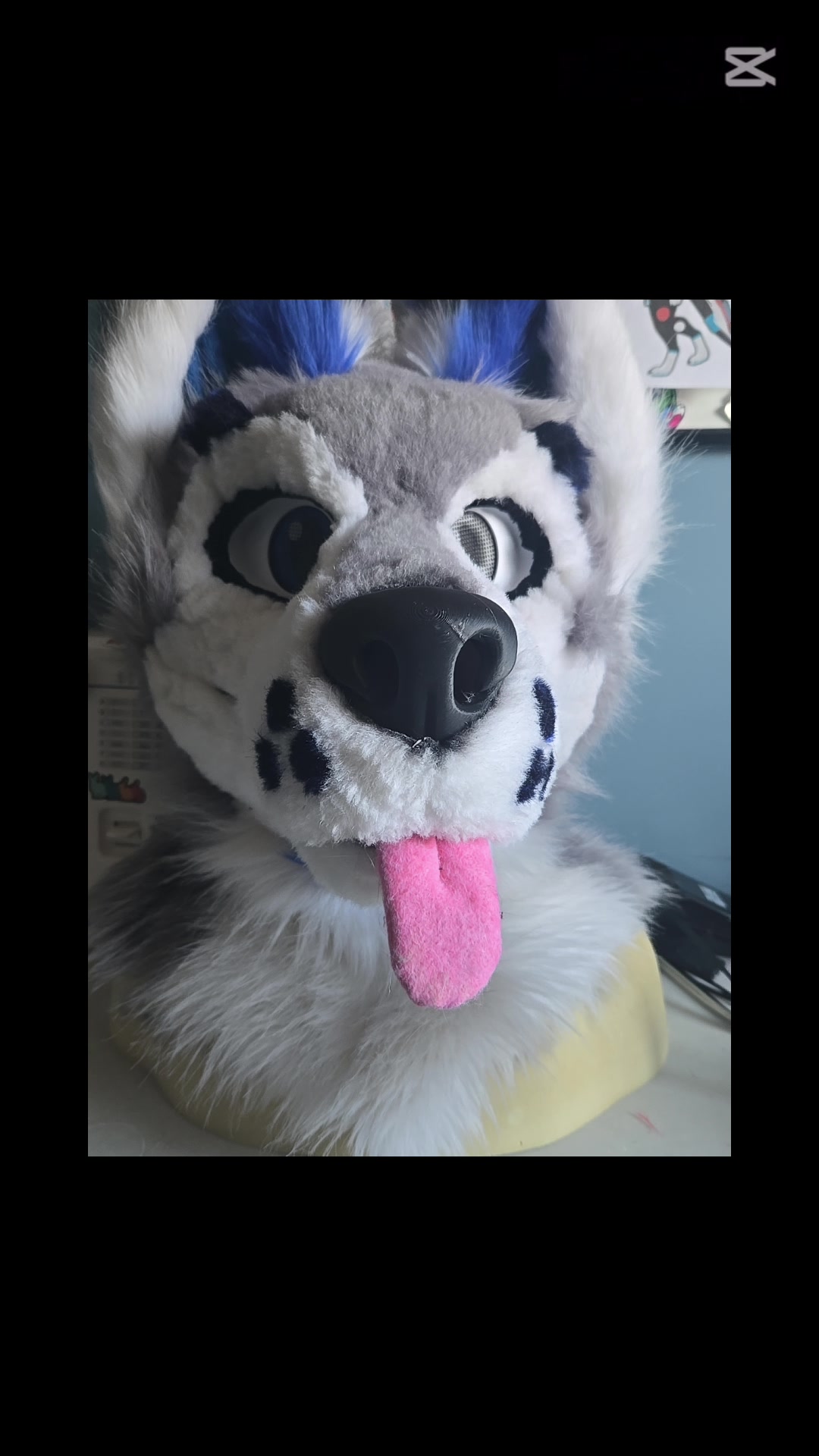 @muttsi