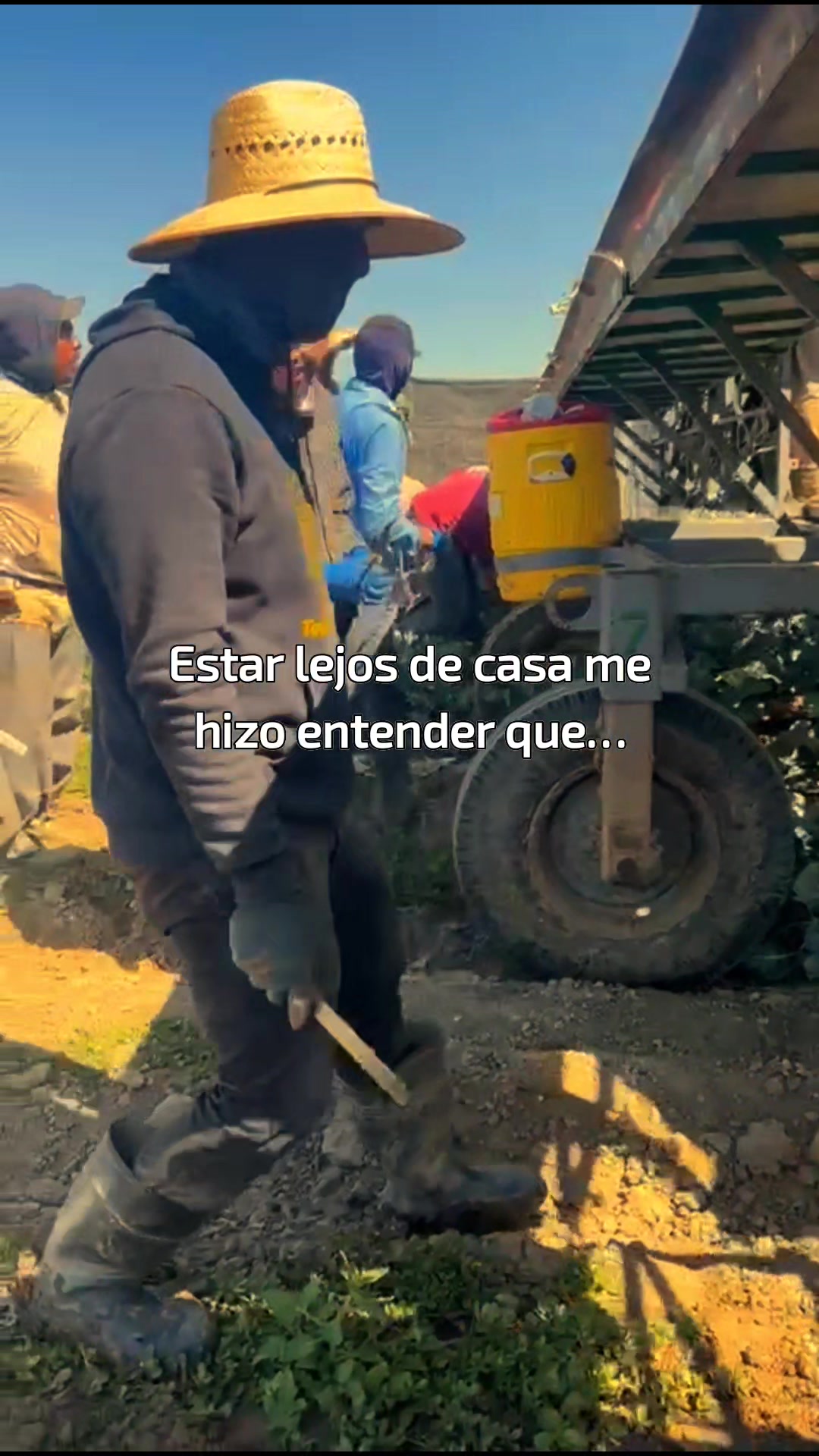 @Alejandro Lopez
