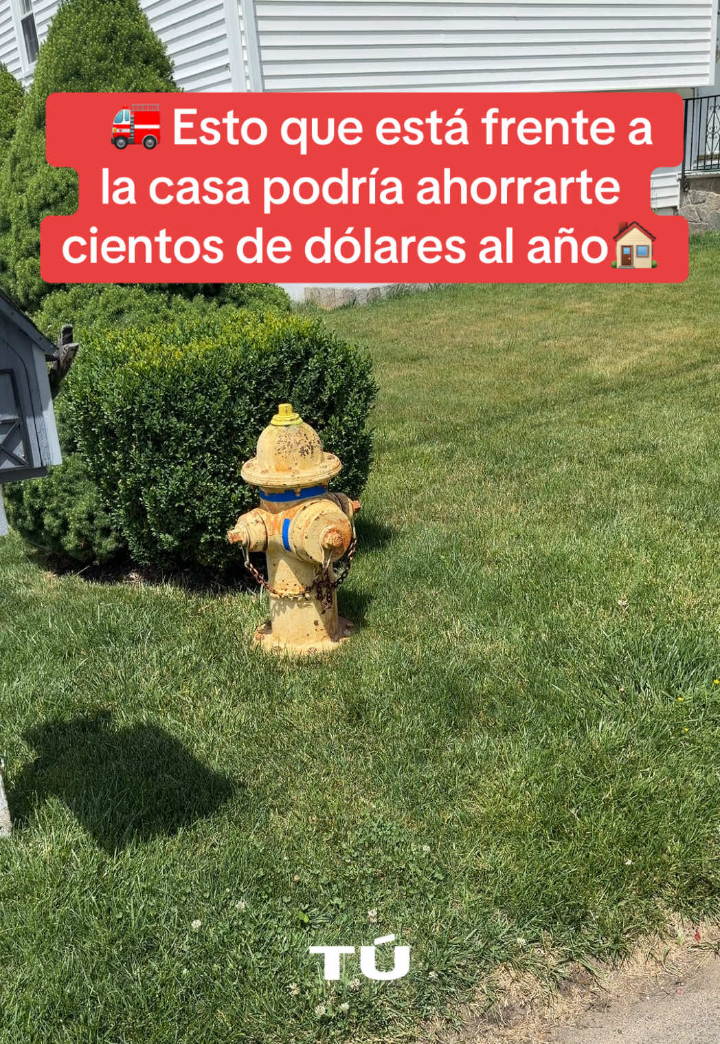 @Dio Espinal