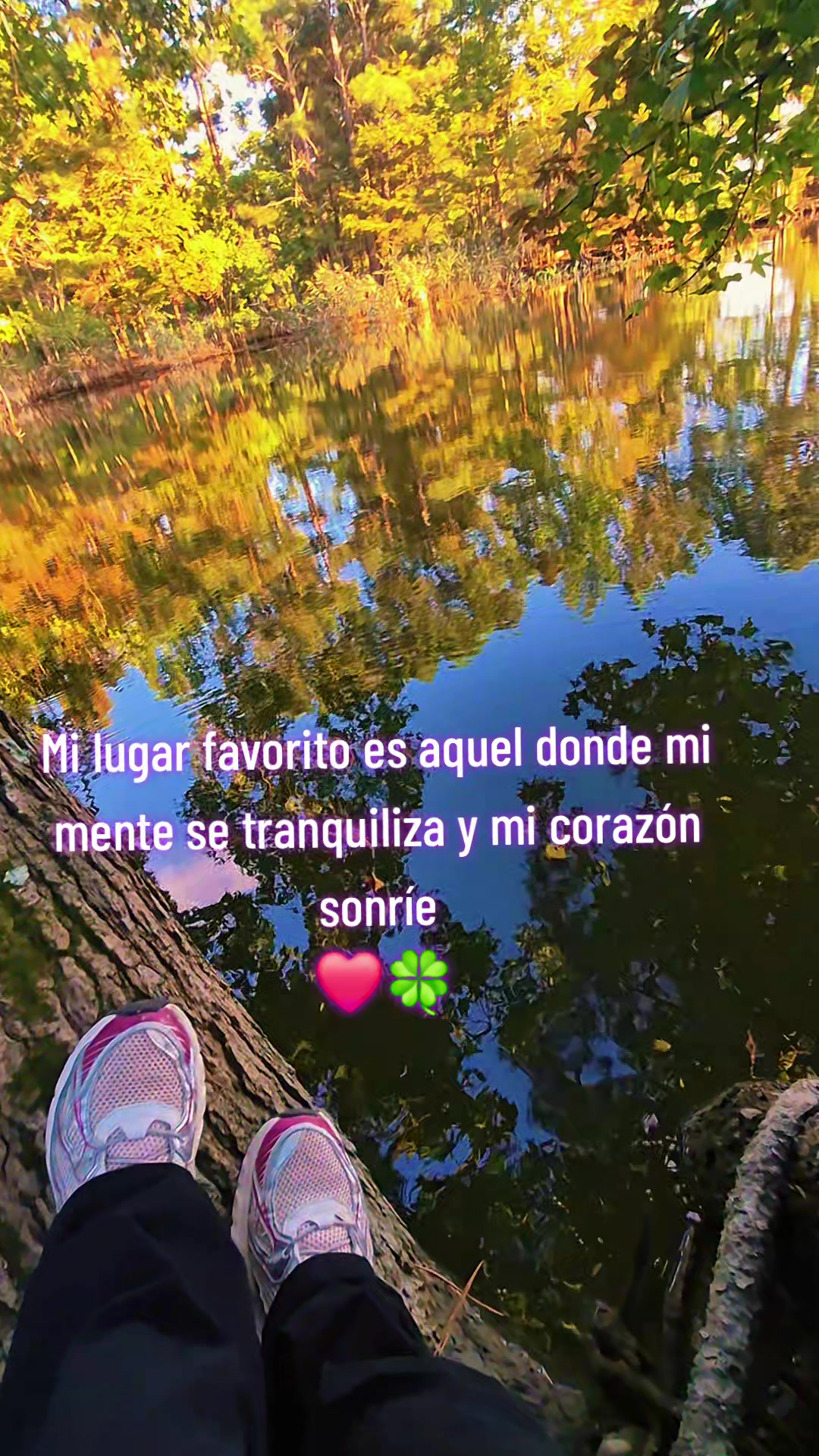 @zonia