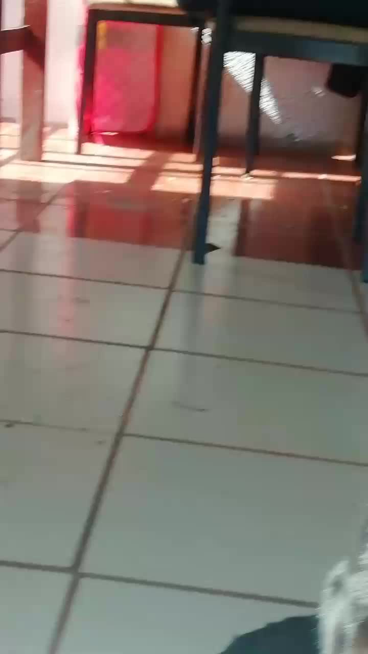 @LD