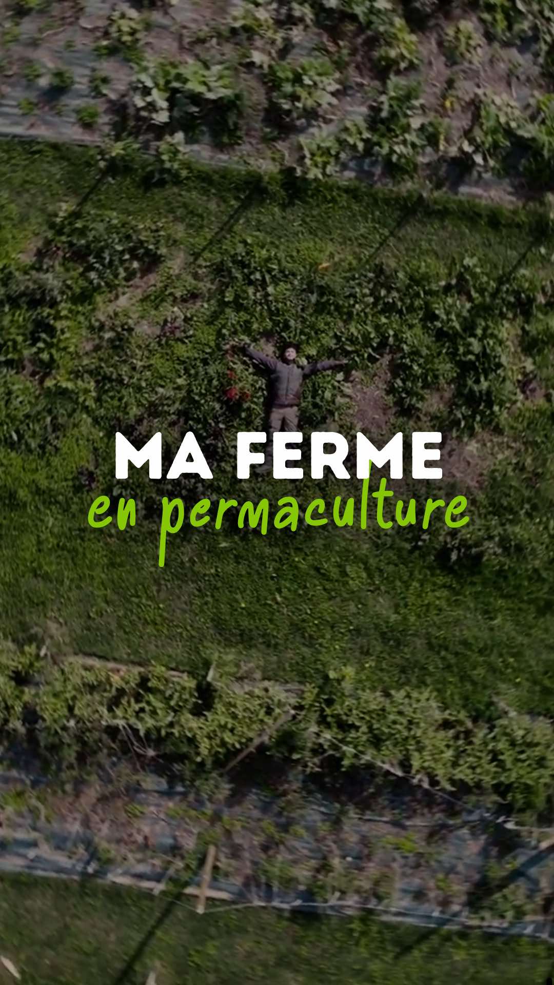 @Goran Le Permaculteur