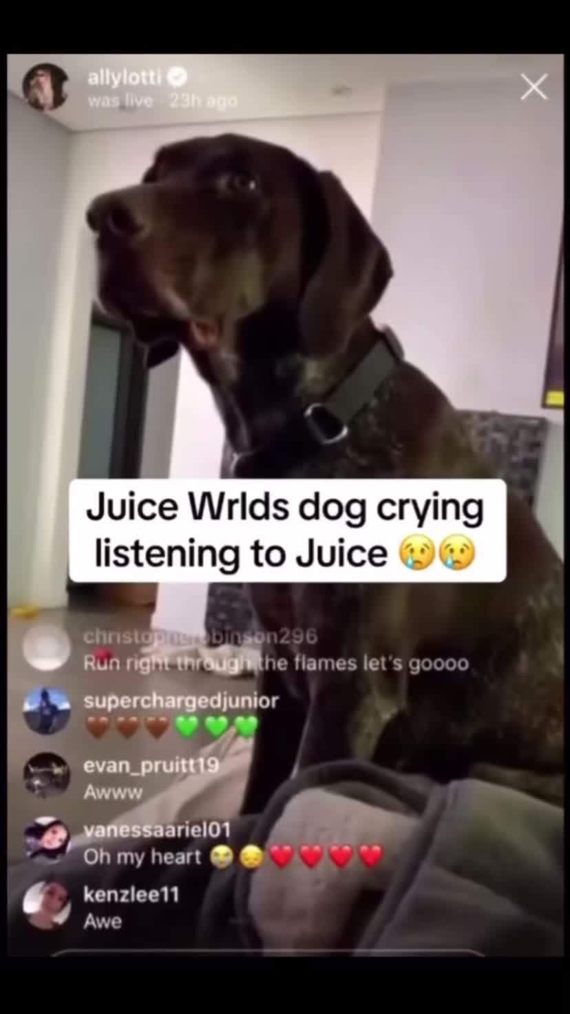 @juicewrld