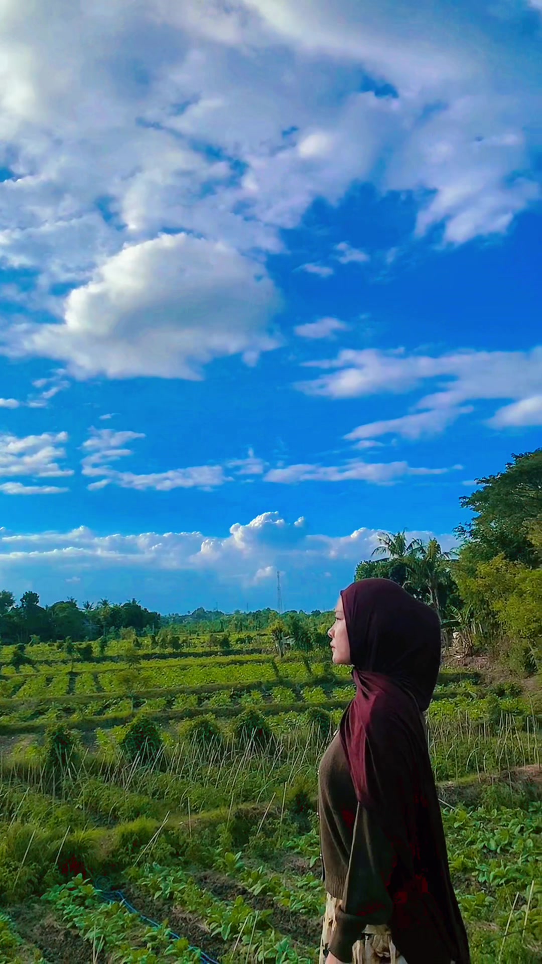 @Akun gabut