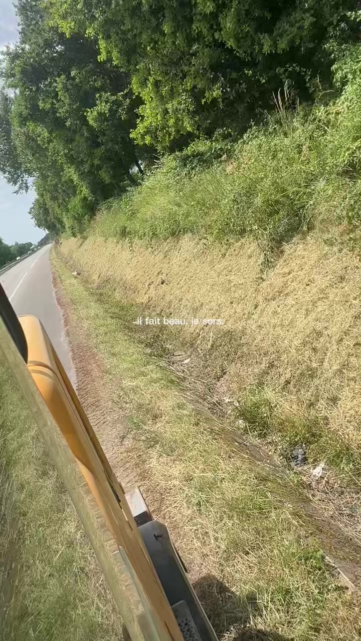 @Nico 🔥
