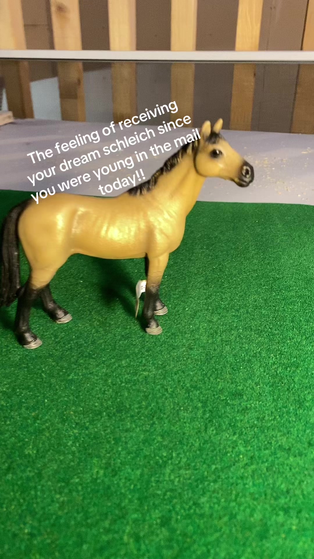 @Schleich